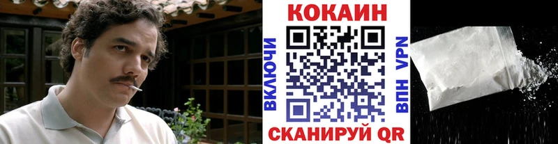 Cocaine FishScale  Купить  Тимашёвск 