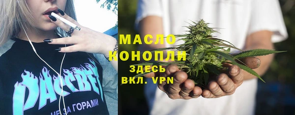 индика Краснослободск