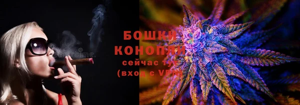 индика Краснослободск