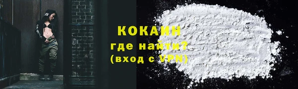 индика Краснослободск