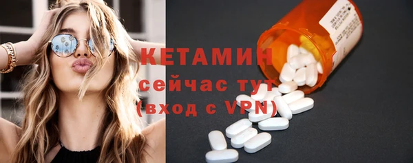 индика Краснослободск