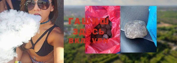 индика Краснослободск