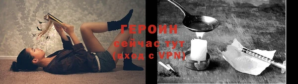 индика Краснослободск