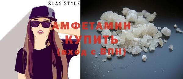 индика Краснослободск