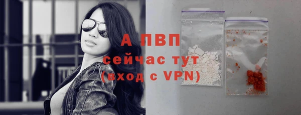 индика Краснослободск