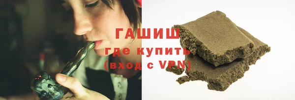 индика Краснослободск