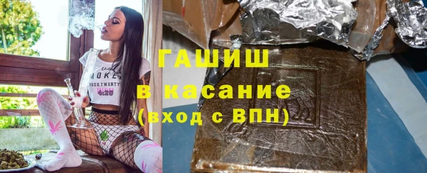 индика Краснослободск