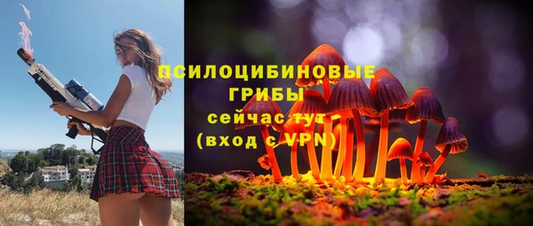 индика Краснослободск