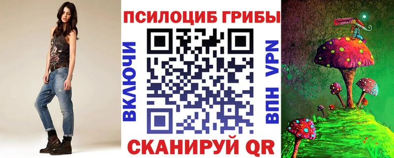Купить где  Тимашёвск  Галлюциногенные грибы Magic Shrooms 