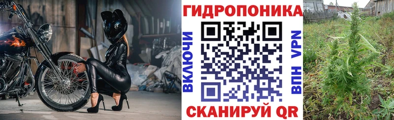 Конопля LSD WEED  Купить закладки  Тимашёвск 